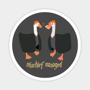 Magical Geese Magnet